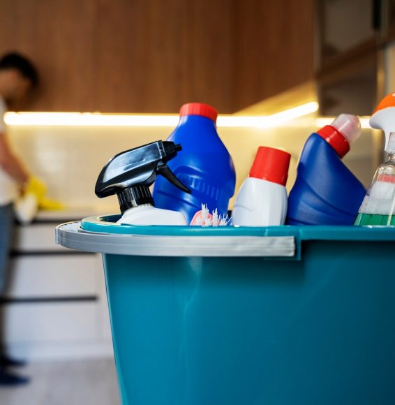 man-servant-doing-chores